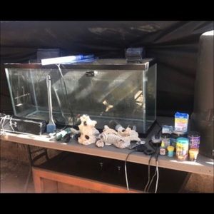 Clear fish tank